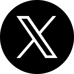 x icon